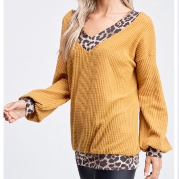Cheetah Trim V-neck sweater top - Picture 7 of 7